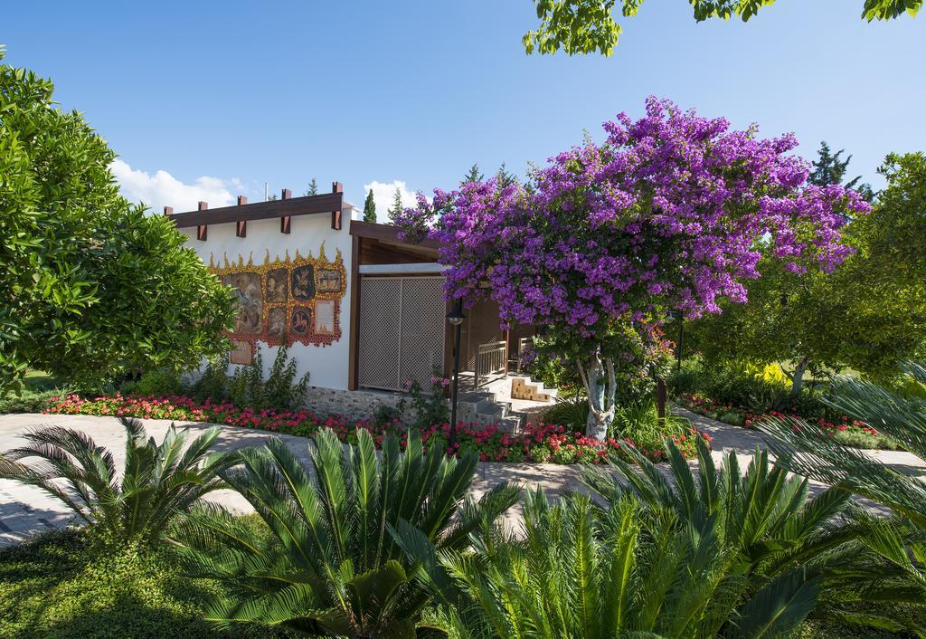 Kimera Lounge Boutique Hotel & Spa Çıralı Exteriér fotografie